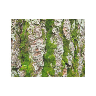 Moss Stripes in Pine Tree Bark Metal Print