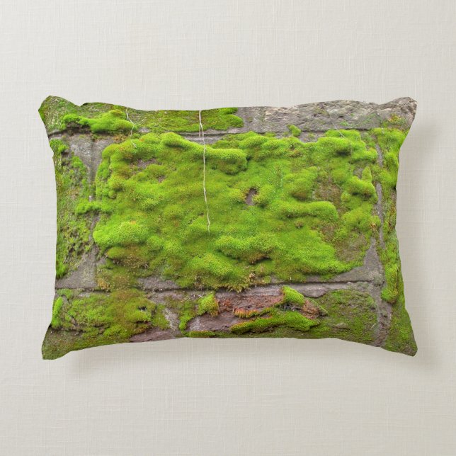 Moss wall green rock texture accent pillow (Front)