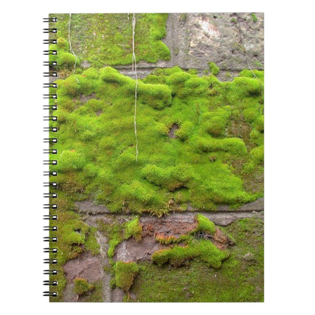 Moss wall green rock texture notebook (Front)