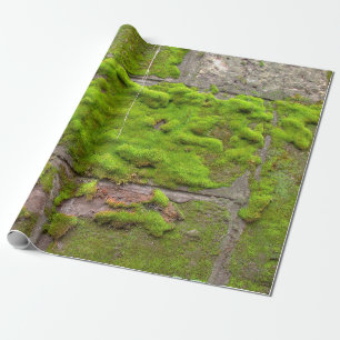 Moss wall green rock texture wrapping paper