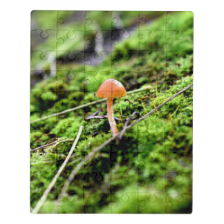 Mosses and Lichens with tiny Mushroom Jigsaw Puzzle