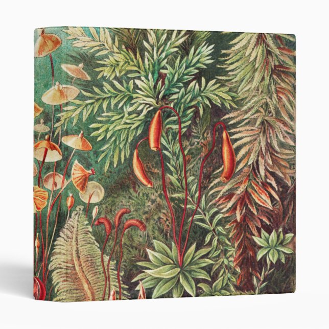 Mosses, Muscinae Laubmoose by Ernst Haeckel 3 Ring Binder (Front/Spine)
