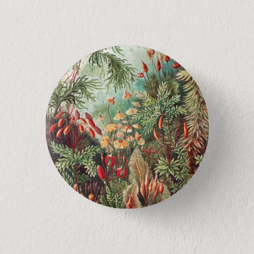 Mosses Muscinae Laubmoose by Ernst Haeckel Button