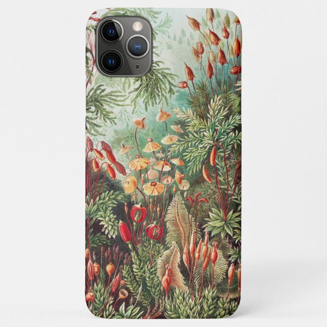 Mosses, Muscinae Laubmoose by Ernst Haeckel Case-Mate iPhone Case (Back)