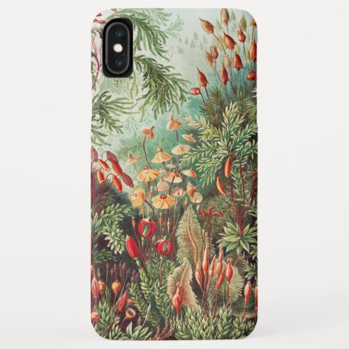 Mosses Muscinae Laubmoose by Ernst Haeckel iPhone XS Max Case