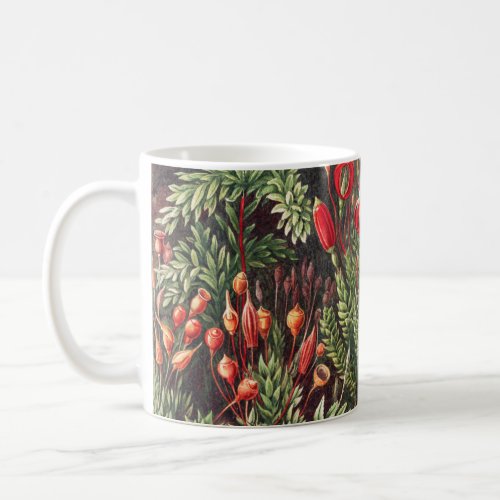 Mosses Muscinae Laubmoose by Ernst Haeckel Coffee Mug