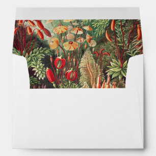 Mosses, Muscinae Laubmoose by Ernst Haeckel Envelope