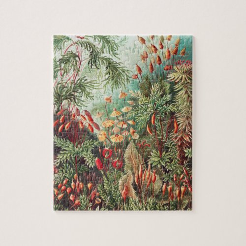 Mosses Muscinae Laubmoose by Ernst Haeckel Jigsaw Puzzle