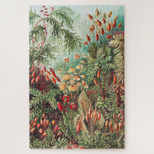 Mosses, Muscinae Laubmoose by Ernst Haeckel Jigsaw Puzzle