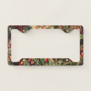 Mosses, Muscinae Laubmoose by Ernst Haeckel License Plate Frame
