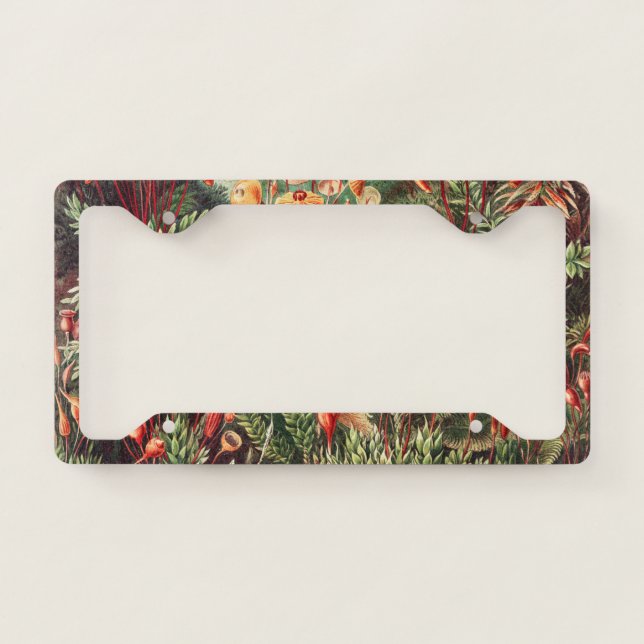 Mosses, Muscinae Laubmoose by Ernst Haeckel License Plate Frame (Front)