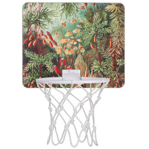 Mosses, Muscinae Laubmoose by Ernst Haeckel Mini Basketball Hoop