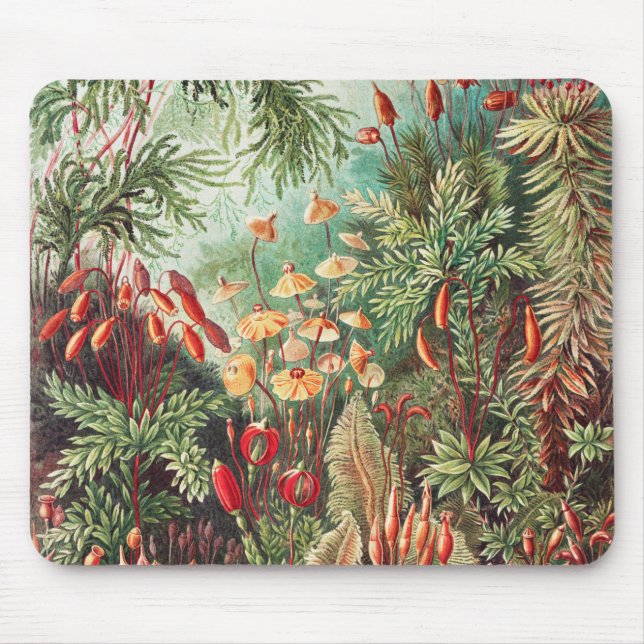 Mosses, Muscinae Laubmoose by Ernst Haeckel Mouse Pad (Front)