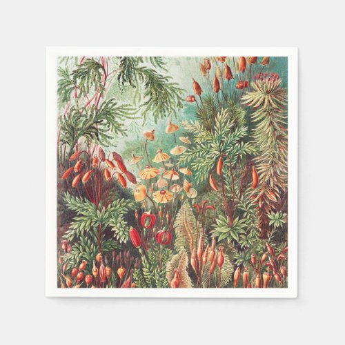 Mosses Muscinae Laubmoose by Ernst Haeckel Napkins