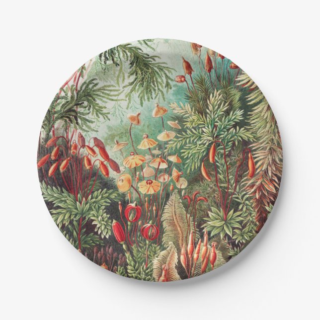 Mosses, Muscinae Laubmoose by Ernst Haeckel Paper Plates (Front)