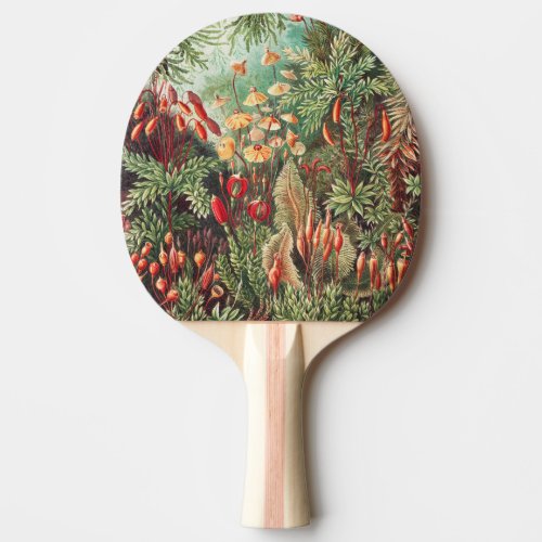 Mosses Muscinae Laubmoose by Ernst Haeckel Ping Pong Paddle