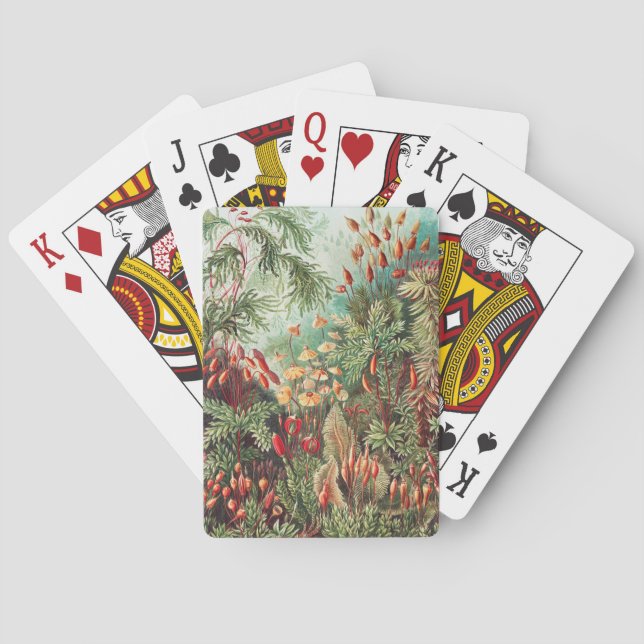 Mosses, Muscinae Laubmoose by Ernst Haeckel Poker Cards (Back)