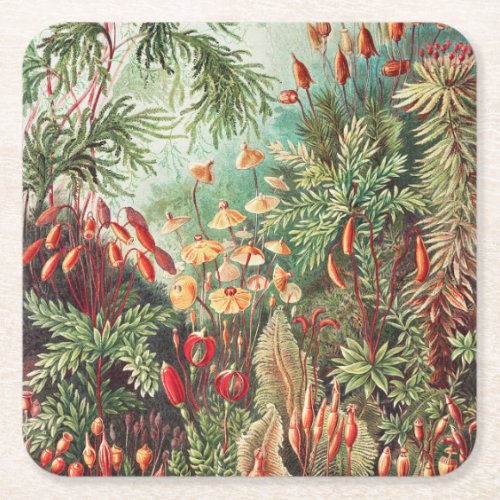 Mosses Muscinae Laubmoose by Ernst Haeckel Square Paper Coaster