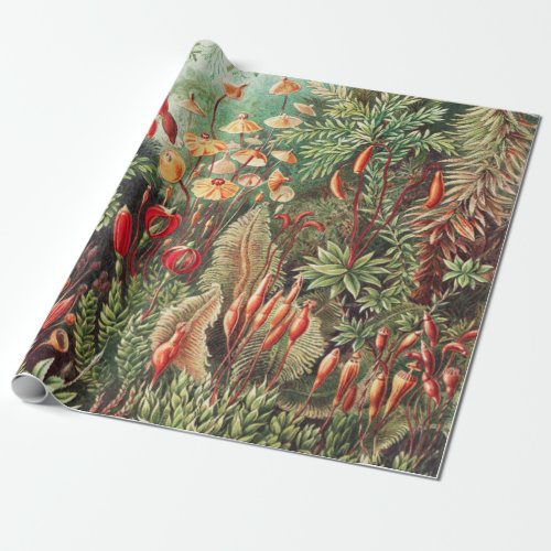 Mosses Muscinae Laubmoose by Ernst Haeckel Wrapping Paper