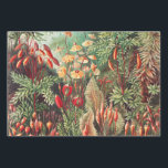 Mosses, Muscinae Laubmoose by Ernst Haeckel Wrapping Paper Sheets<br><div class="desc">Muscinae Laubmoose by Ernst Haeckel Vintage Plants Wrapping Paper Sheet</div>