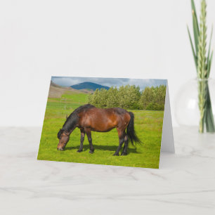 Mossfellsbaer Icelandic Horse Card