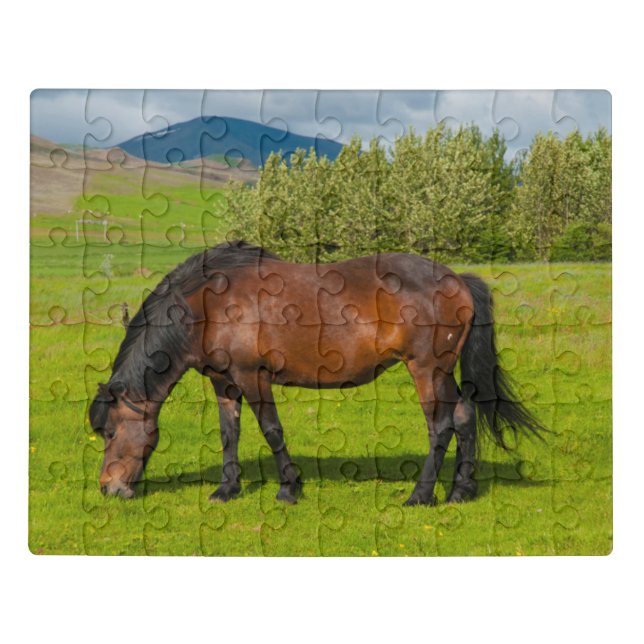 Mossfellsbaer Icelandic Horse Jigsaw Puzzle (Puzzle Horizontal)