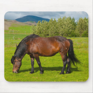 Mossfellsbaer Icelandic Horse Mouse Pad