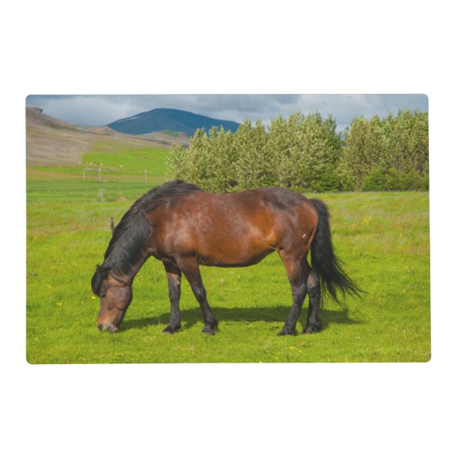 Mossfellsbaer Icelandic Horse Placemat (Front)