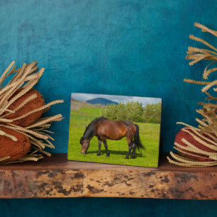 Mossfellsbaer Icelandic Horse Plaque