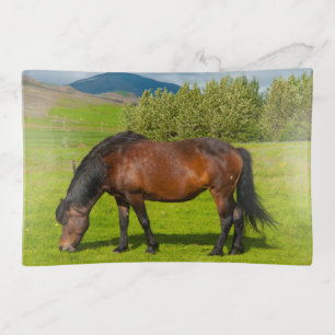 Mossfellsbaer Icelandic Horse Trinket Tray