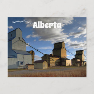 Mossleigh Vulcan County Alberta Postcard