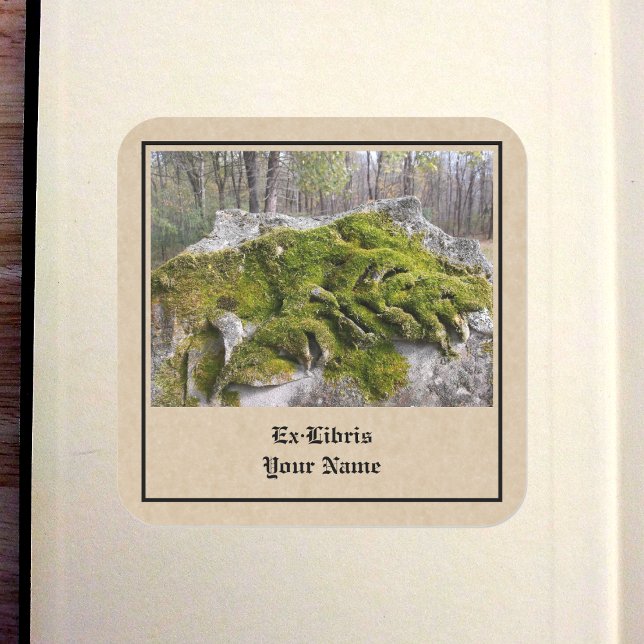 Mossy Broken Headstone Bookplate (Mossy Broken Headstone Bookplate in Book)