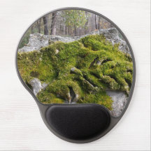 Mossy Broken Headstone