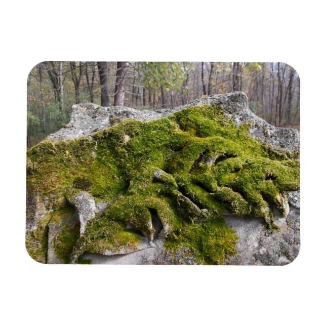 Mossy Broken Headstone Magnet (Horizontal)