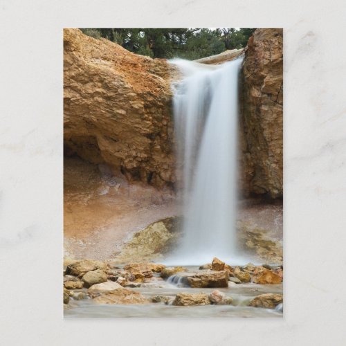 Mossy Cave Waterfall Postcard