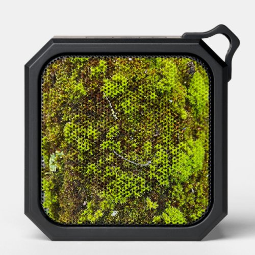 Mossy forest bluetooth speaker