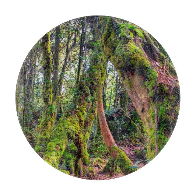 Mossy Forest Cutting Board (Front)