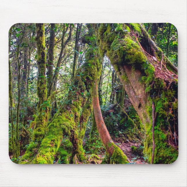 Mossy Forest Mouse Pad (Front)
