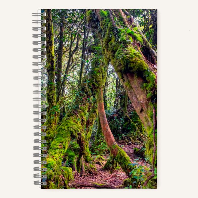 Mossy Forest Notebook (Front)