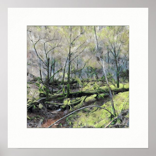 Mossy Forest Poster (Front)