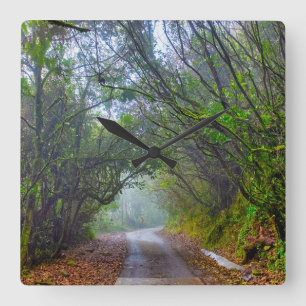 Mossy Forest Square Wall Clock