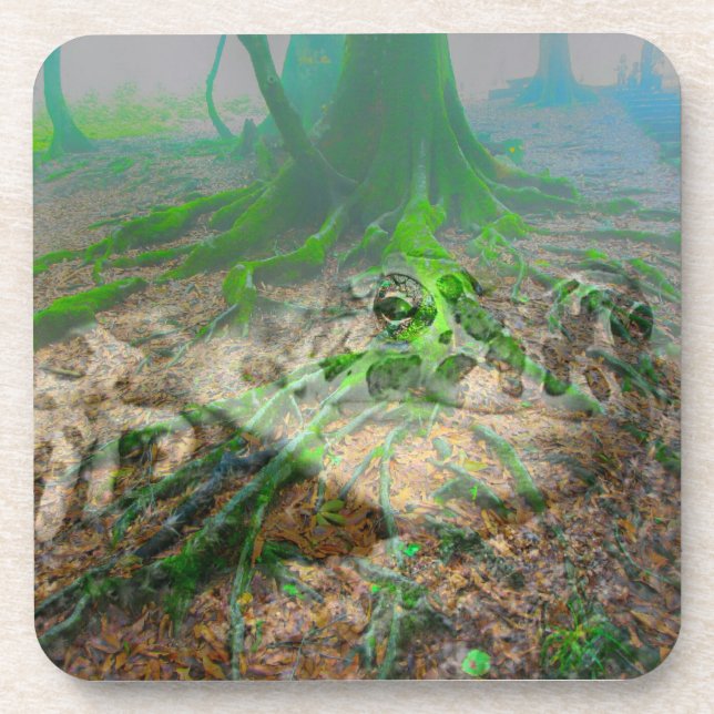 Mossy Frog Beverage Coaster (Front)