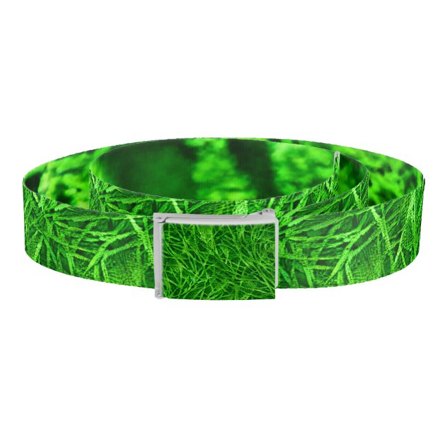 Mossy Grass  Belt (Coil)