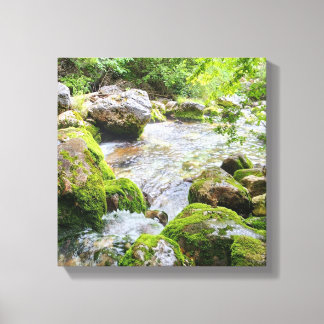 Mossy Mountain Stream – Pristine Forest River Canv Canvas Print