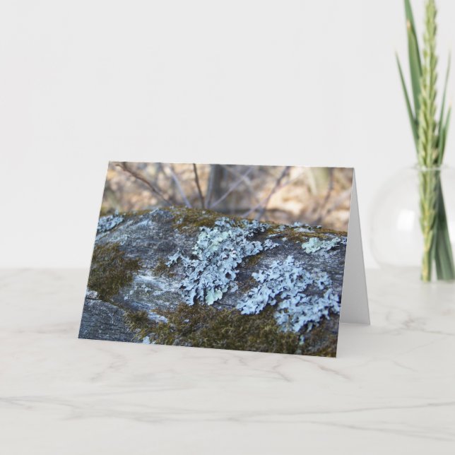 Mossy Oak Log Greeting Card (Front)