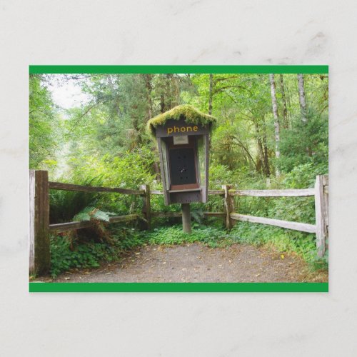 Mossy Phone Booth _ Hoh Rain Forest Postcard