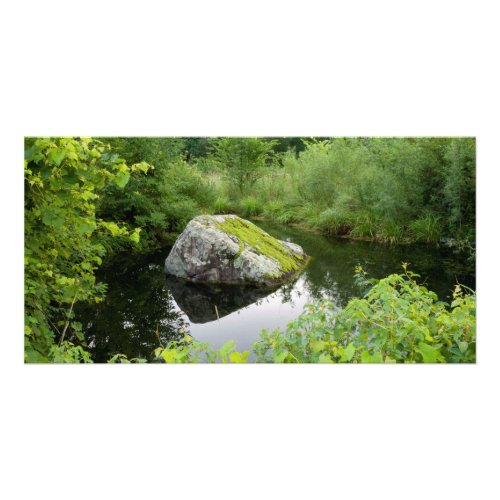 Mossy Rock in Pond Card