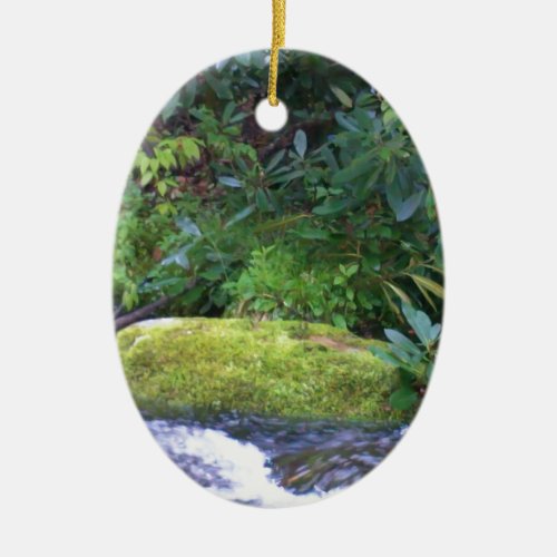 mossy rock on mountain stream ceramic ornament