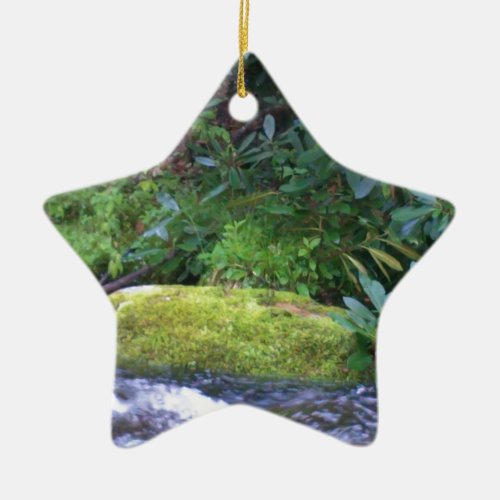 mossy rock on mountain stream ceramic ornament