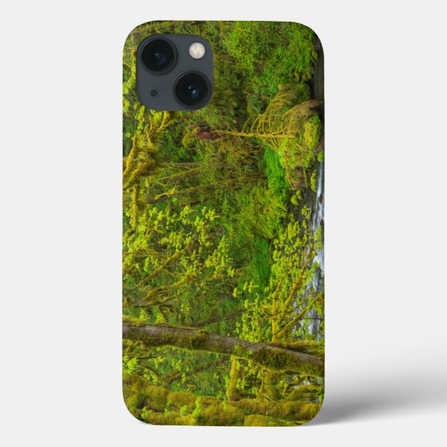Mossy Rocks And Trees Line Eagle Creek Case-Mate iPhone Case (Back)